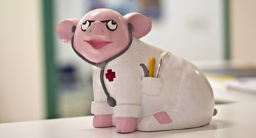 3f235f8b2173bb24e3b033e91e968ffd