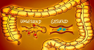 42def038dc1653ed60e6ef34192b3a38