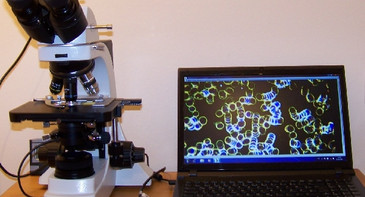 9204d8889703f4b0a112b461d07565c1